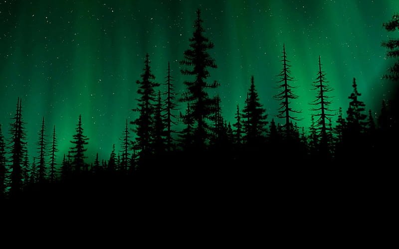 NASA Is Planning To Launch Rockets Into Northern Lights To Study ‘Black Auroras’